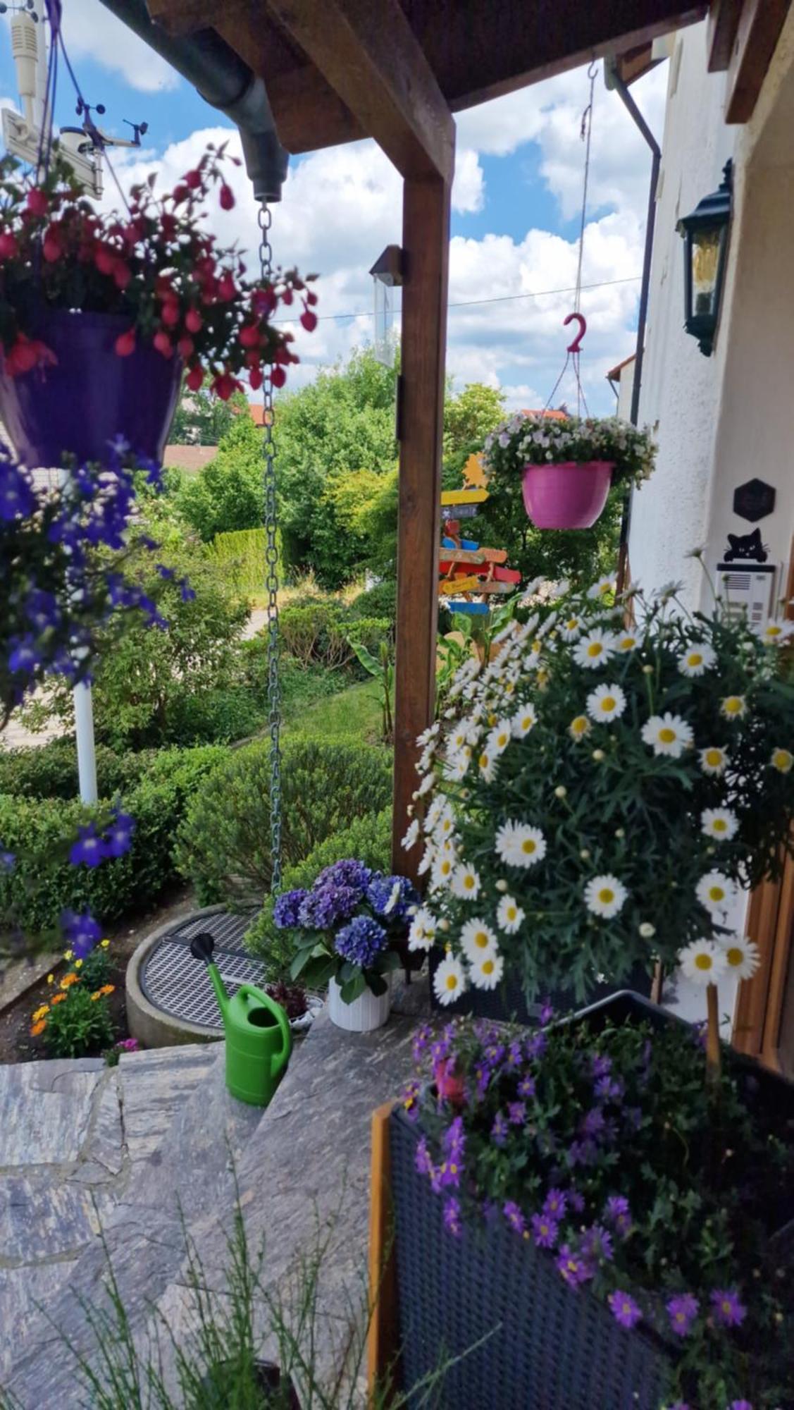 Wiesental 89331 Burgau, Wiesentalstrasse 1 Appartement *